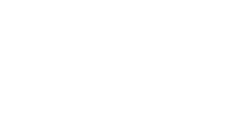 DEX-TI Consulting